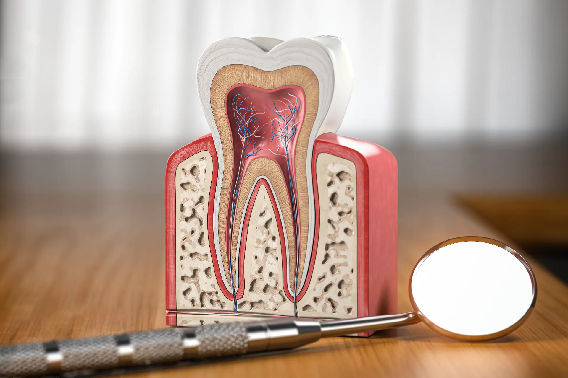 Root Canal treatment, Park St Dental Practice, Dr Neda Gorji and Associates, Mona Vale Dental Implant Centre, Gentle Dentist Near Me, Pain Free Root Canal treatment, Best root canal in Mona vale, Northern beaches endodontic treatment, Toothache, Mona Vale Gentle Dentist, Northern Beaches Gentle Dentist, Emergency Dentist, Same Day Appointment Dentist